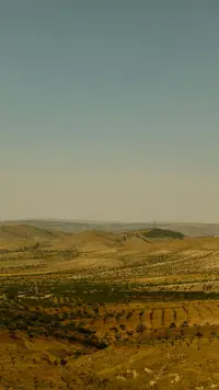 Landscape 2