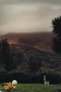 Landscape 3