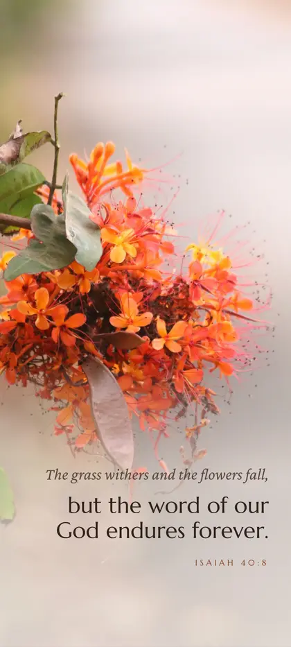 Isaiah 40:8 Bible verse wallpaper — Flower background