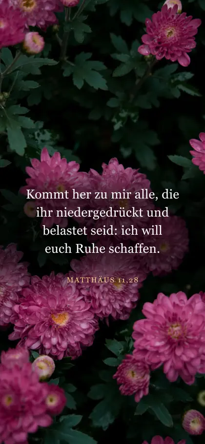 Matthäus 11,28 — Hintergrundbild