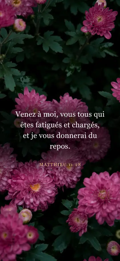 Matthieu 11:28 — fond d’écran