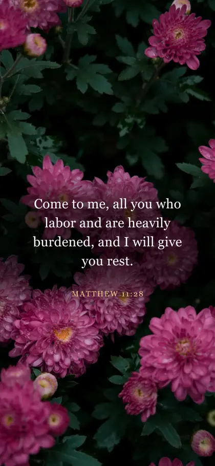 Matthew 11:28 Bible verse wallpaper — Flower background