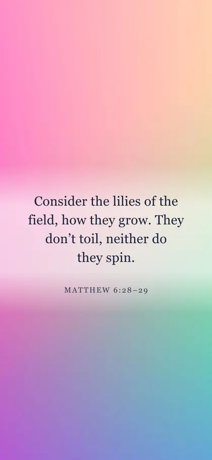 Matthew 6:28–29 Bible verse wallpaper — Photo 4 background