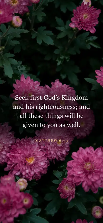 Matthew 6:33 Bible verse wallpaper — Flower background