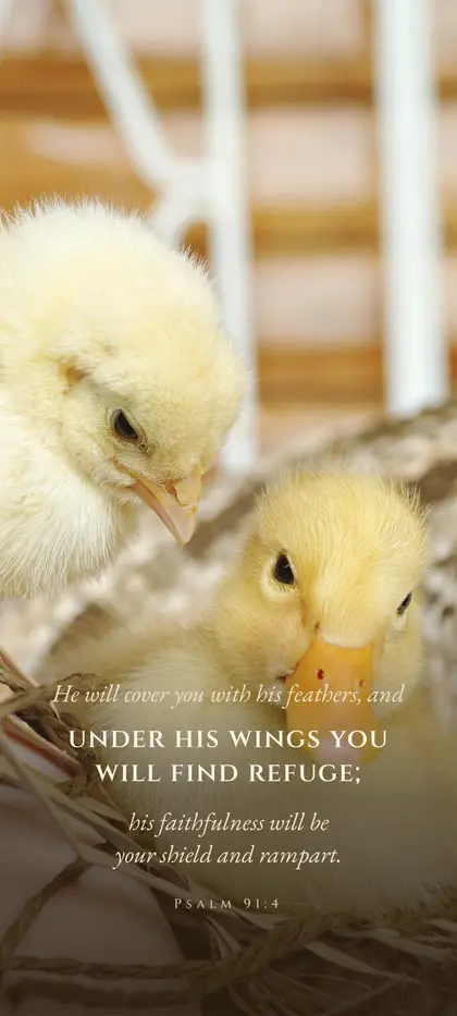 Psalm 91:4 Bible verse wallpaper — Chicks background